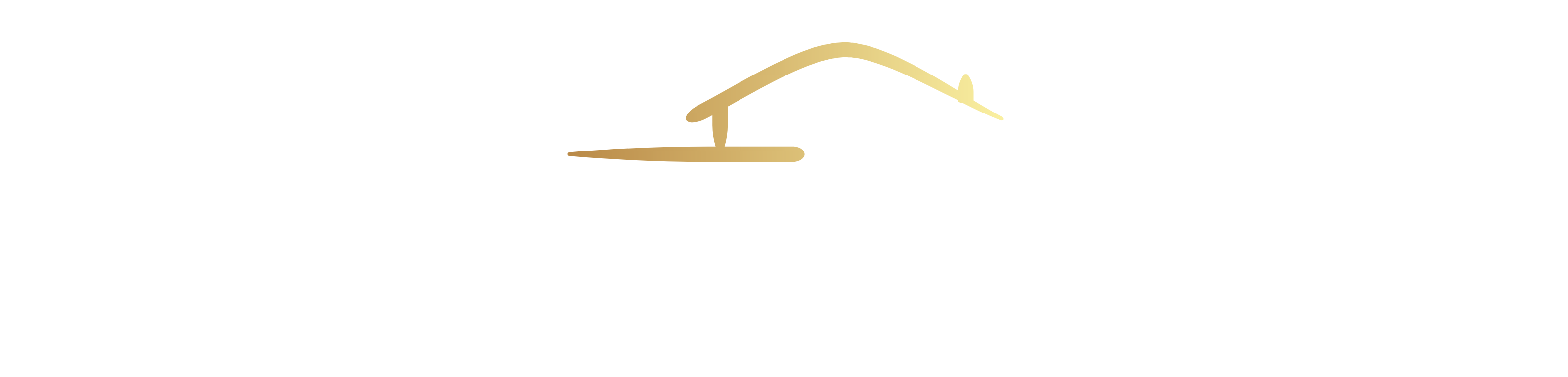 Detailed Projects Logo