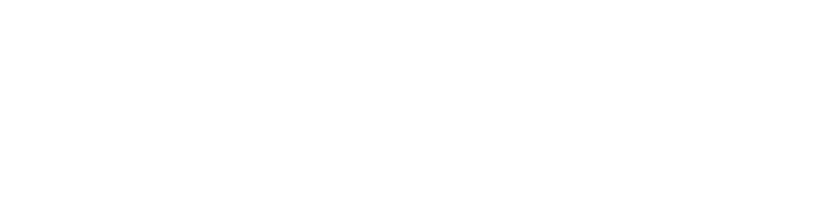 Detailed Projects Logo